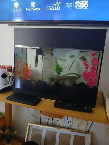 Vende-se um aquário semi novo