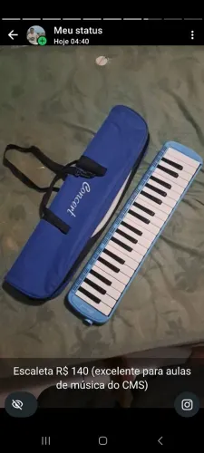 Escaleta Concert ( novíssima, usada por 3 meses apenas)