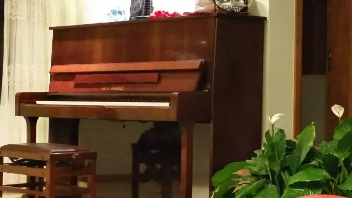Piano Vertical Fritz Dobbert - Excelente Estado - Salvador