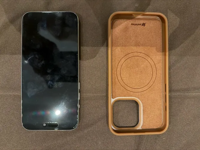 iPhone 15 Pro Max | 256 GB
