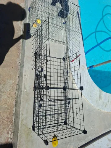 Cercado e gaiola para porquinho da Índia