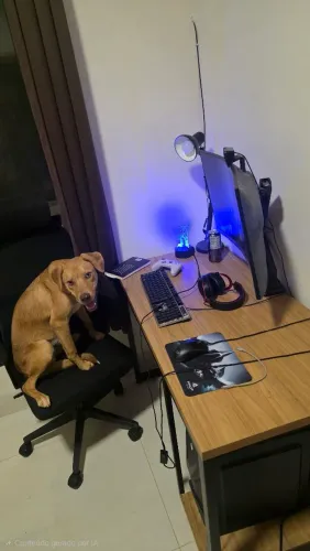 PC GAMER RYZEN 7 5700X3D +RTX 3060TI + MONITOR 27'