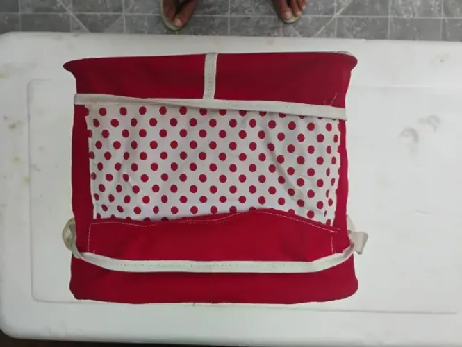 Bolsa para transporte de PET - Cabine do Avião