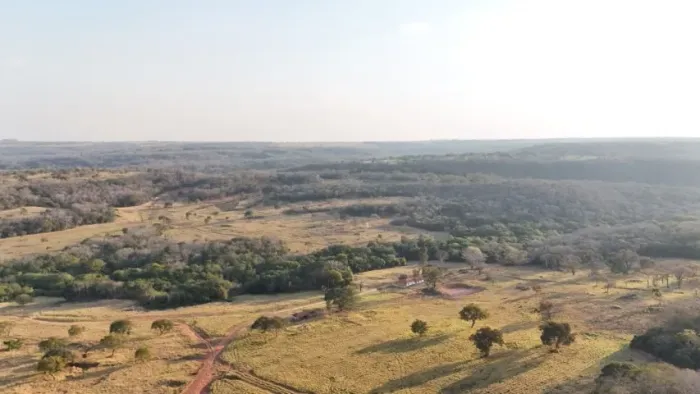 Fazenda Rio Negro 02 opções 500 ou 350 Hectares!
