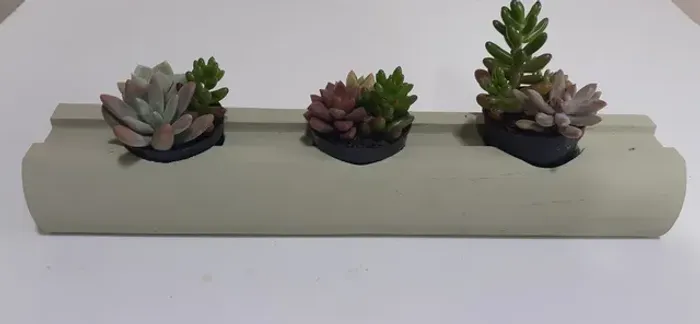 Mini Suporte Suculentas Cactos de Mesa de Madeira