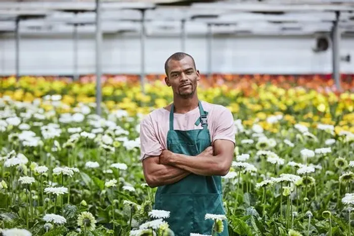 Manuntenção de jardins horta projetos paisagisticos
