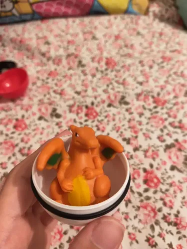 Charutaria na pokébola-miniatura pokémon