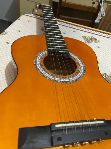 Viola Giannini Eletroacústica