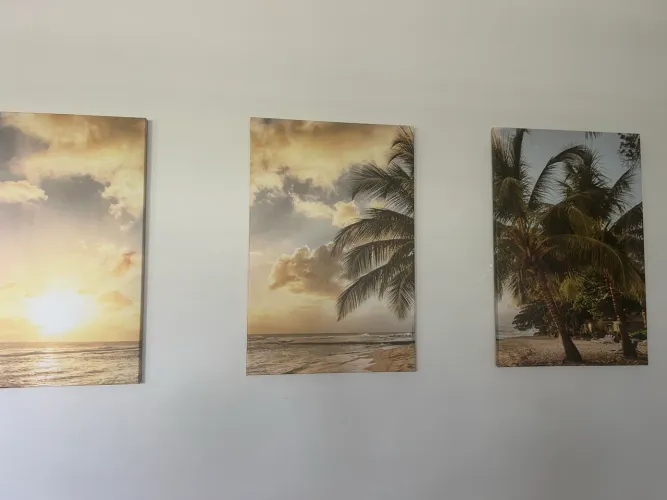 Três Lindos quadros medindo 40x60 (cada)