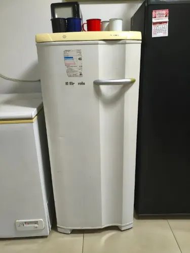 FREEZER VERTICAL ELECTROLUX FE18