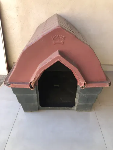 CASA CACHORRO GIGANTE 