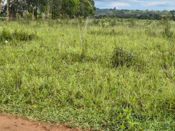 Chacara 2 Hectares Incra 7 Com Escritura