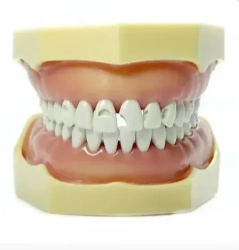 Manequim mom materiais dentários