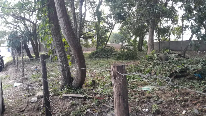 Terreno no Campeche 1.175 mt² localização estratégica 