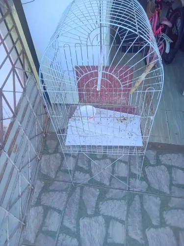 Vendo viveiro para papagaio.