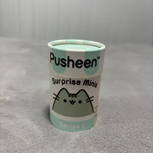 Caixa Pusheen Cat Decoração