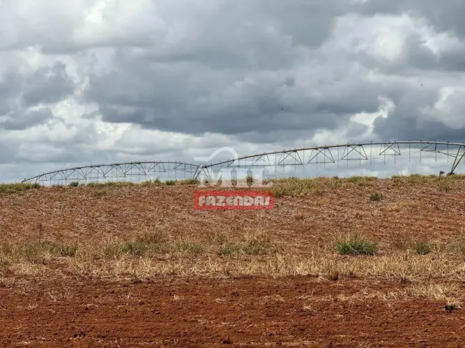 Fazenda 41,3 alqueires (200 hectares) Orizona - GO