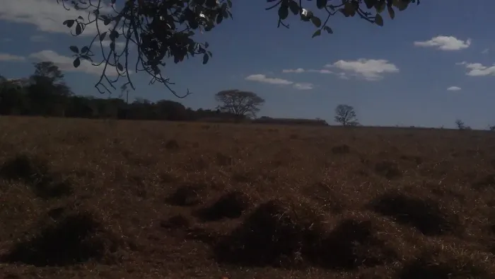 Chácara extra a venda, em Goiânia / Goiás!!!