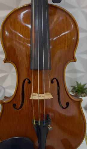 Violino