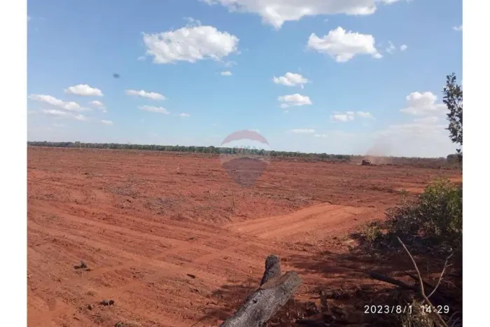 ¨Vende-se Fazenda em Brasnorte-MT-Potencial para Pecuária e agricultura em Região Estratég
