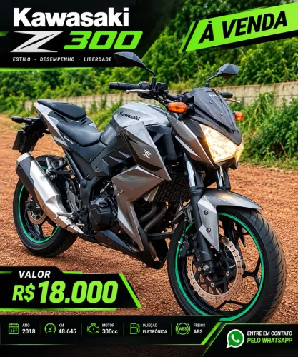 Kawasaki Z 300 2018