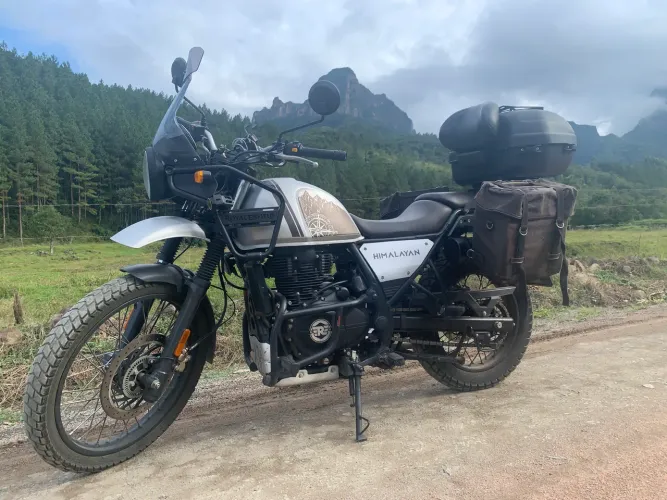 Himalayan único dono