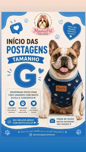Roupas pet 