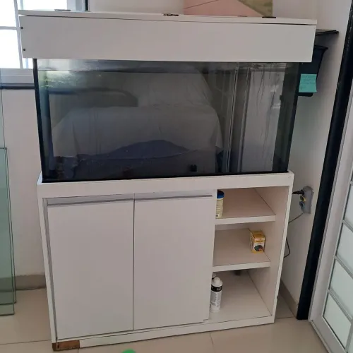 Aquário 200 Litros