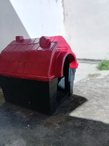 CASA GRANDE PARA CACHORROS 