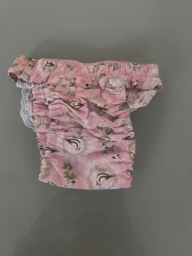 Roupas e Acessórios Seminovos para Pets de Porte Pequeno