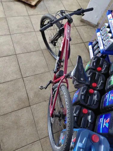 Bike Absolut wild