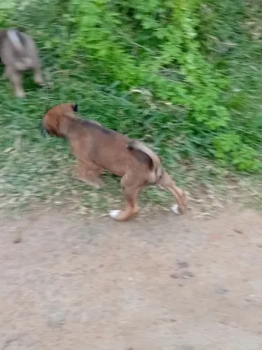 Pra doação