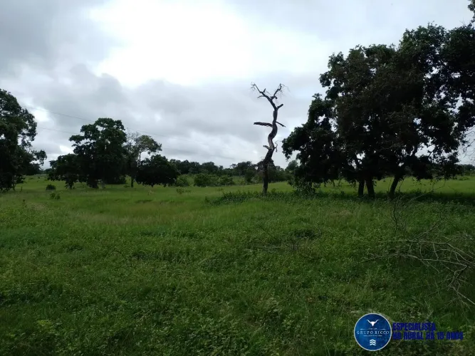 Fazenda à Venda em Aragarças-GO  40 Alqueires | Dupla Aptidão |