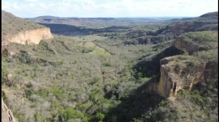 Fazenda com 122 hectares!