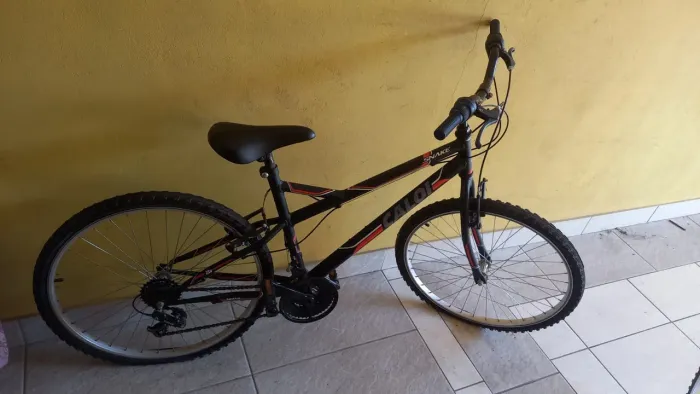 Bicicleta 