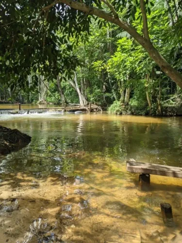 Vende-se uma chácara com Igarapé particular