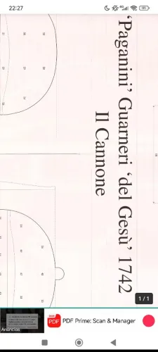 Planta violino Guarneri