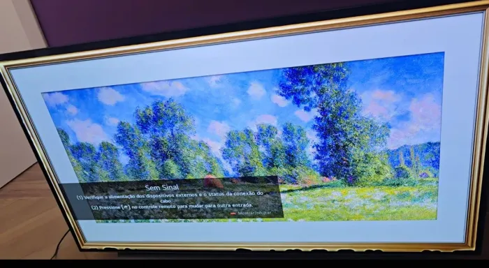 Tv LG cx oled 55 com defeito