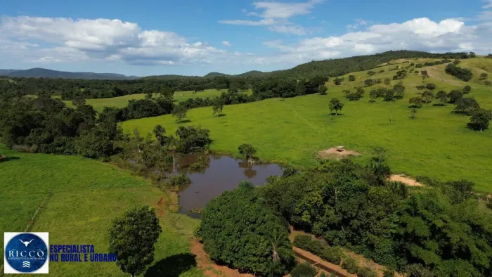 Fazenda à Venda  Vila Propício / Goianésia - GO | 166 Alqueires