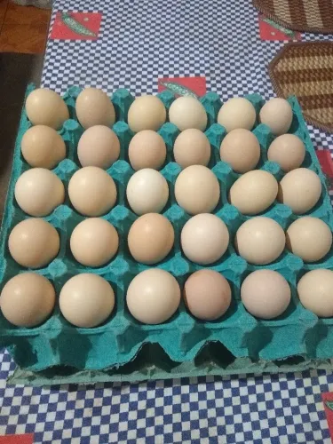 30 OVOS CAIPIRA 35 Reais