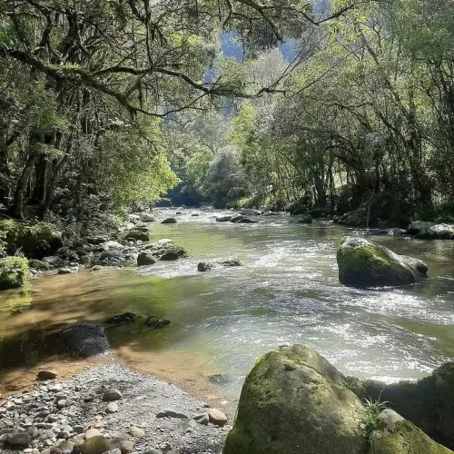 Sítio em Alfredo Wagner