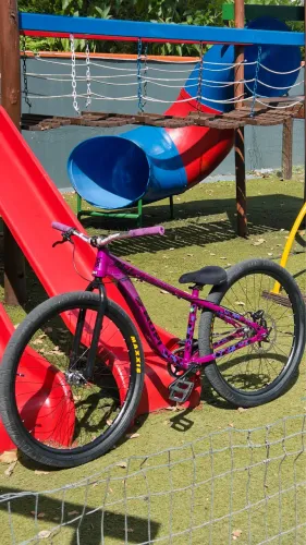 Hupi naja 2025 aro 29
