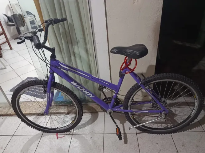 Bicicleta