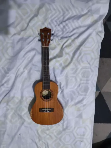 Ukulele Shelby Concert
