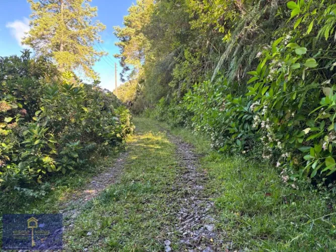 Área Rural para Venda em Bocaína do Sul, Dois Irmãos