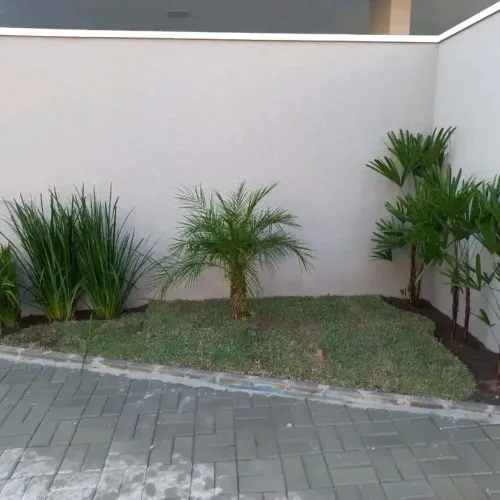 Grama Esmeralda Instalada e Manutenção