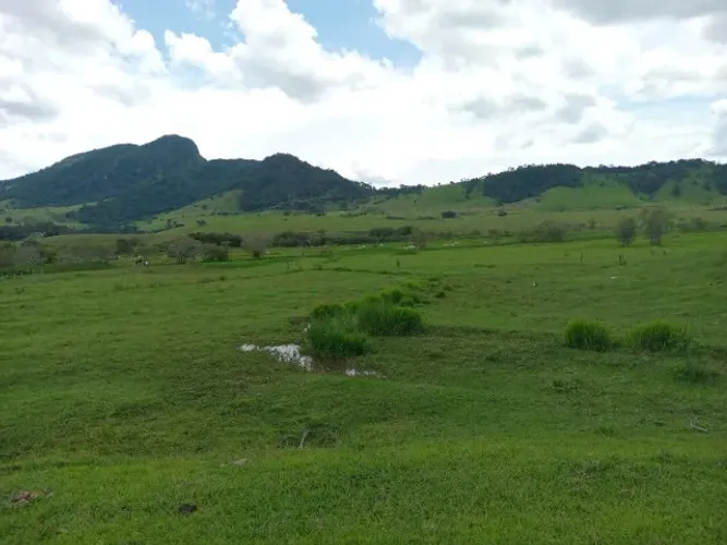 Magnífica Fazenda de 196 Hectares, localizada em Itajubá, Sul de Minas Gerais