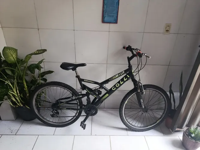 Bicicleta
