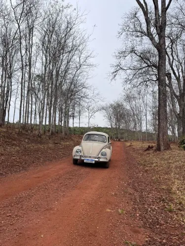 Volkswagen Fusca 1300 1969
