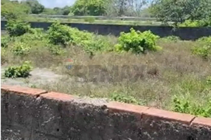 Três lotes à venda em Aver-o-Mar | Sirinhaém PE
